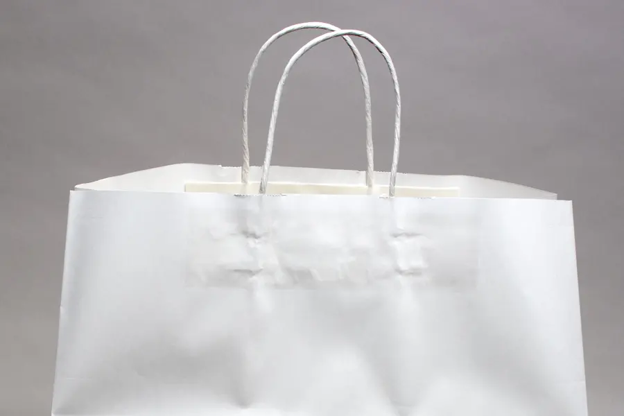 14W x 10D x 15-1/4H, White Kraft Paper Bags with Twisted Paper Handle