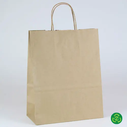 10W x 5D x 13H, Brown Kraft Paper Bags with Twisted Paper Handle