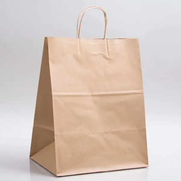 12W X 9D X 16H, BROWN KRAFT PAPER BAGS WITH TWISTED PAPER HANDLE