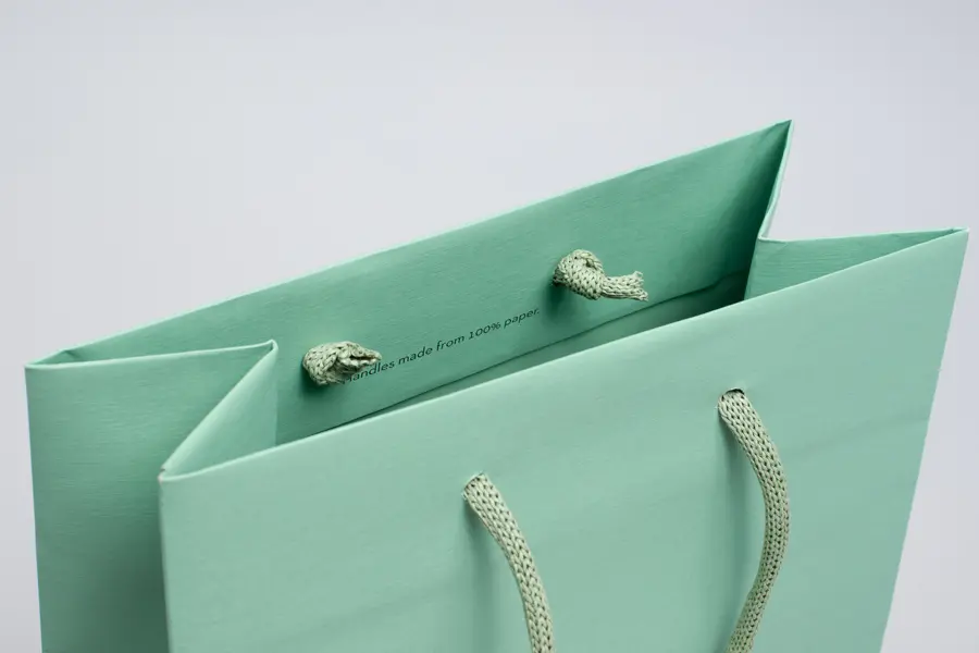 13W x 5D x 10H, Matte Gaia Eurotote Bags with Paper Rope Handles, Nile Green