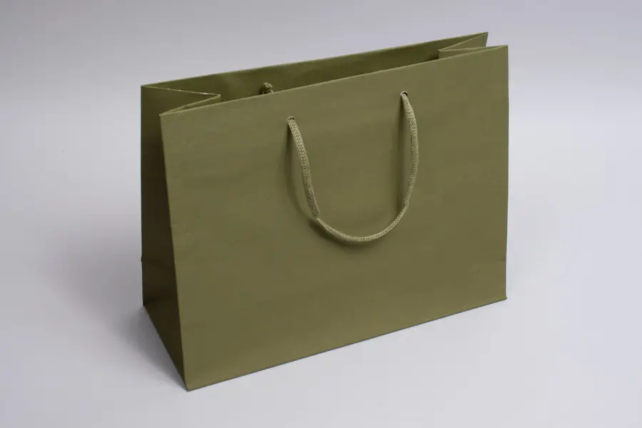 13W x 5D x 10H, Matte Gaia Eurotote Bags with Paper Rope Handles, Olive Green
