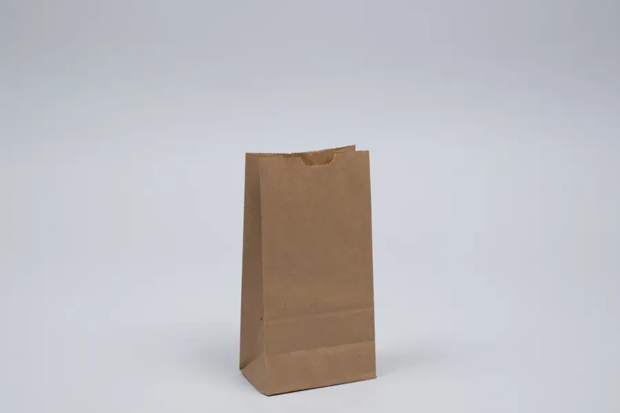 4-1/8W x 2-1/2D x 7-7/8H, Stand Up Paper Merchandise Bags, Natural Kraft