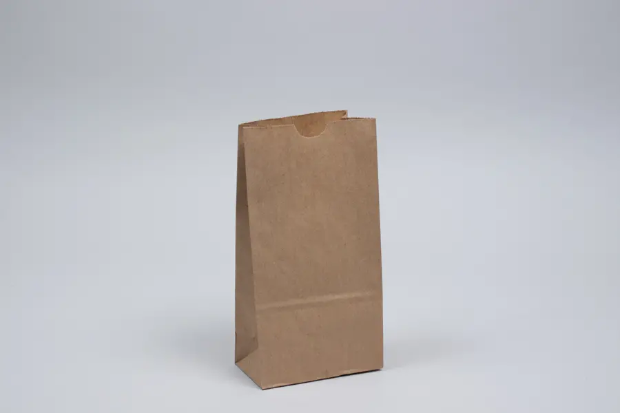 5W x 3-1/8D x 9-5/8H, Stand Up Paper Merchandise Bags, Natural Kraft