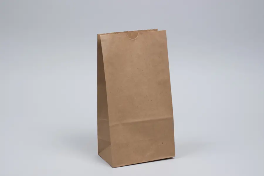 6W x 3-5/8D x 11-1/16H, Stand Up Paper Merchandise Bags, Natural Kraft