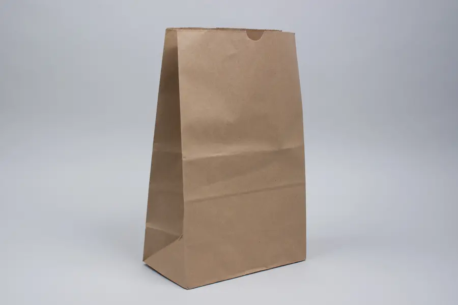 11W x 6D x 17H, Stand Up Paper Merchandise Bags, Natural Kraft