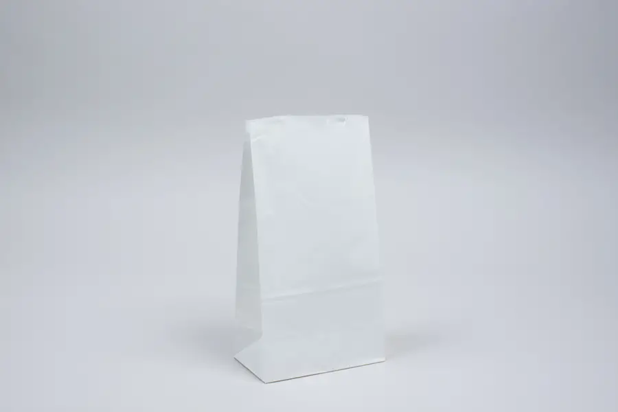 5W x 3-1/8D x 9-5/8H, Stand Up Paper Merchandise Bags, White