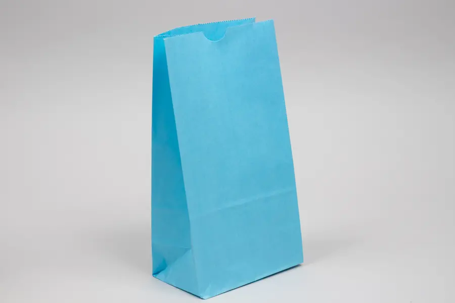 6W x 3-5/8D x 11-1/16H, Stand Up Colored Paper Bags, Blue Sky