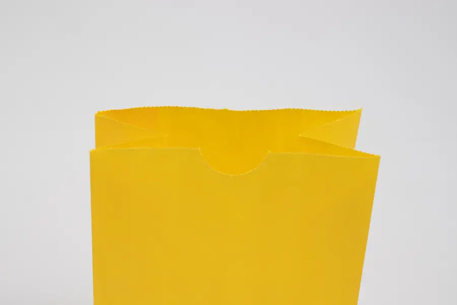 6-1/4W x 3-4/5D x 12-1/2H, Stand Up Colored Paper Bags, Sunburst