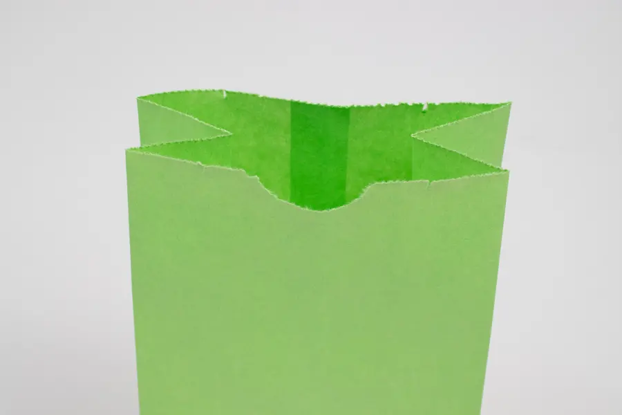 4-1/8W x 2-1/2D x 7-7/8H, Stand Up Colored Paper Bags, Lime