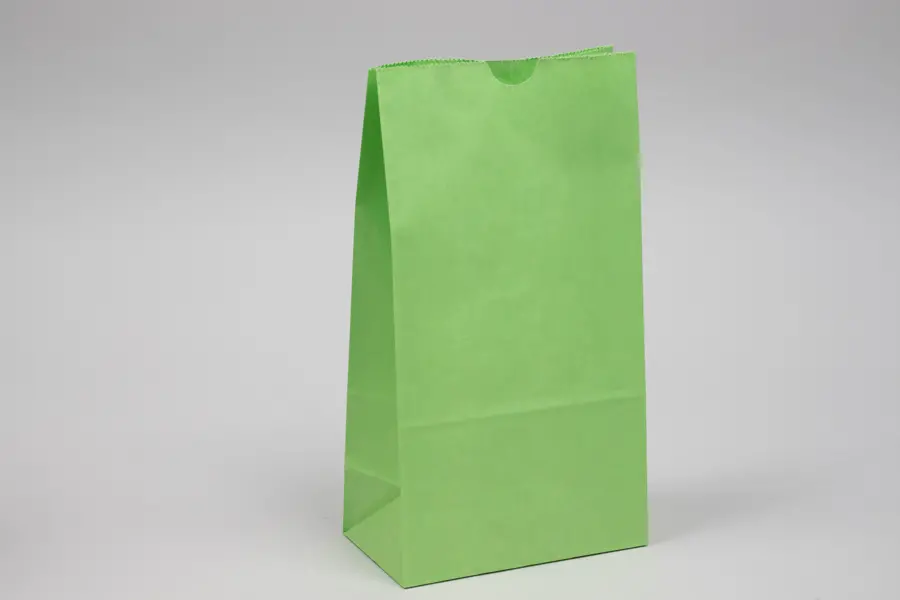 6W x 3-5/8D x 11-1/16H, Stand Up Colored Paper Bags, Lime