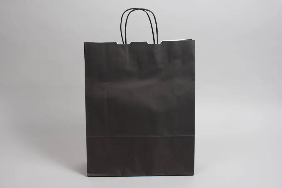9-3/4W x 4-3/8D x 12-1/4H, Tinted Colors on Kraft Base Paper Bags with Twisted Paper Handles, Black