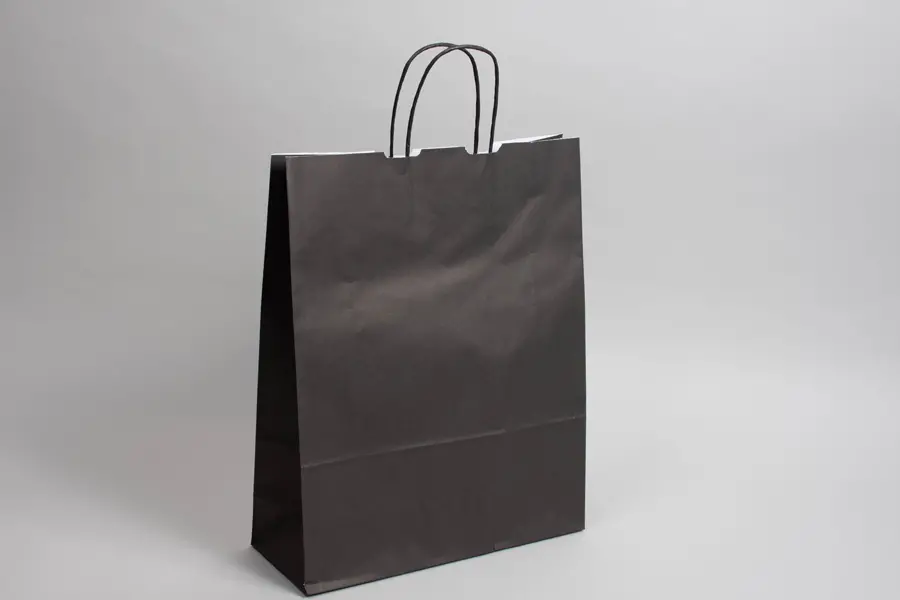 9-3/4W x 4-3/8D x 12-1/4H, Tinted Colors on Kraft Base Paper Bags with Twisted Paper Handles, Black