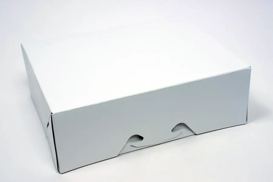 9-1/4L x 7-3/8W x 3-1/8H, Tamper Evident Take-Out Boxes, White