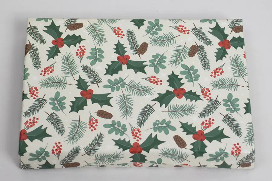 4-5/8L x 3-3/8W x 5/8H, Pop-Up Gift Card Boxes, Holly Jolly