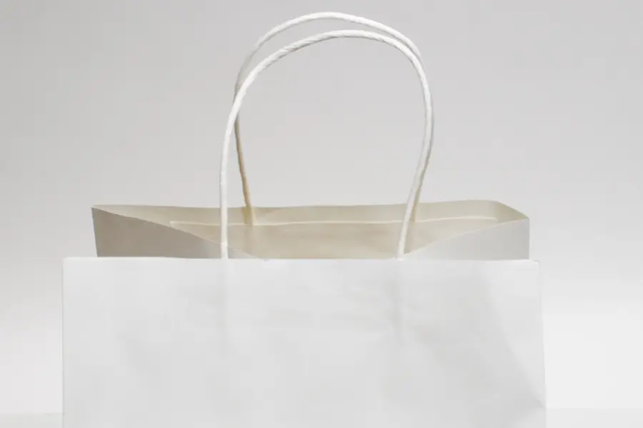 10W x 10D x 10H, White Kraft Paper Bags with Twisted Paper Handle