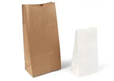 5W x 3-1/8D x 9-5/8H, Stand Up Paper Merchandise Bags, Natural Kraft