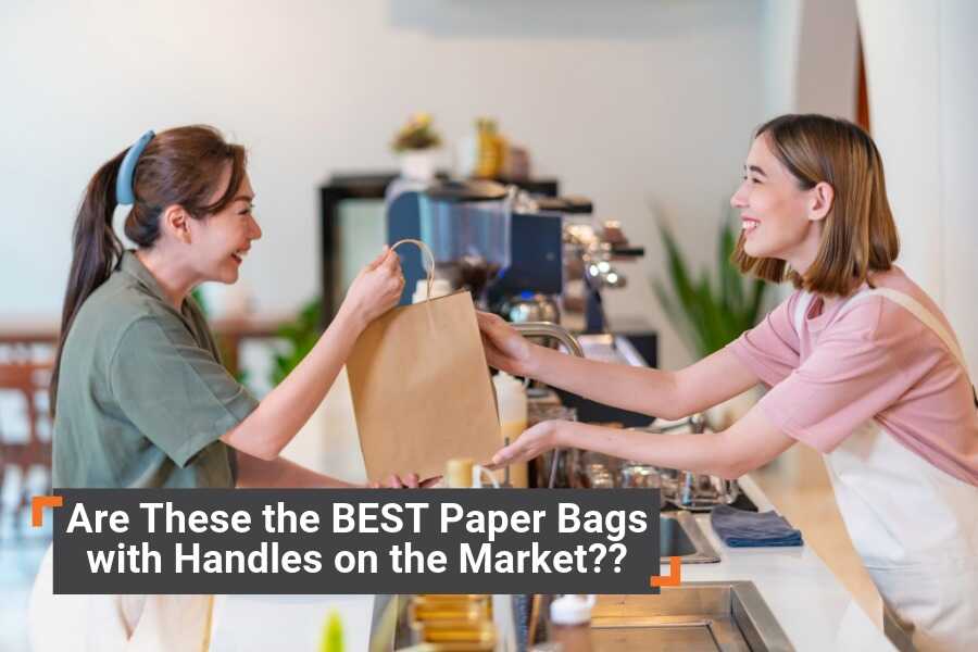 Are These the BEST Paper Bags with Handles on the Market?