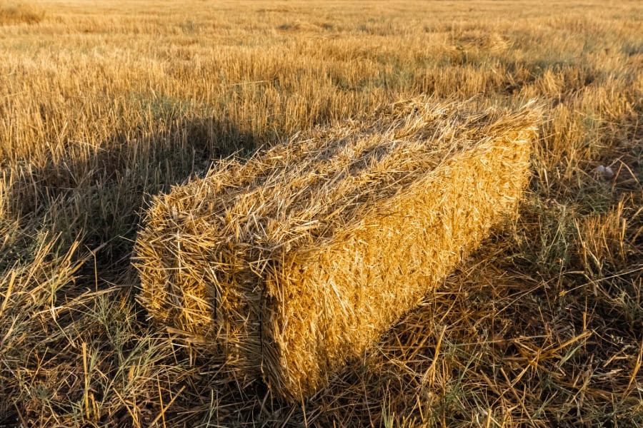Baling wire used on hay bales in agriculture
