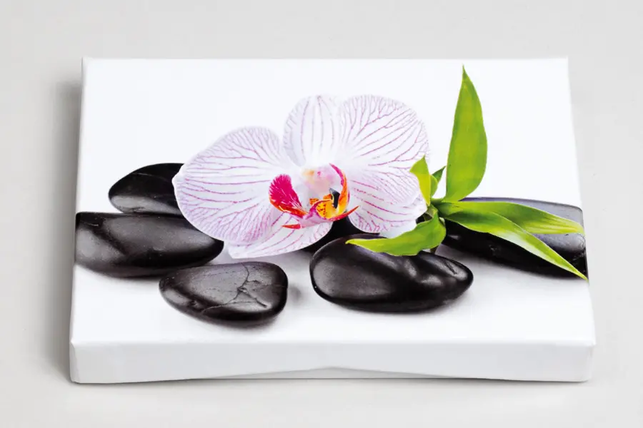 4-5/8L x 3-3/8W x 5/8H, Pop-Up Gift Card Boxes, Spa Orchid
