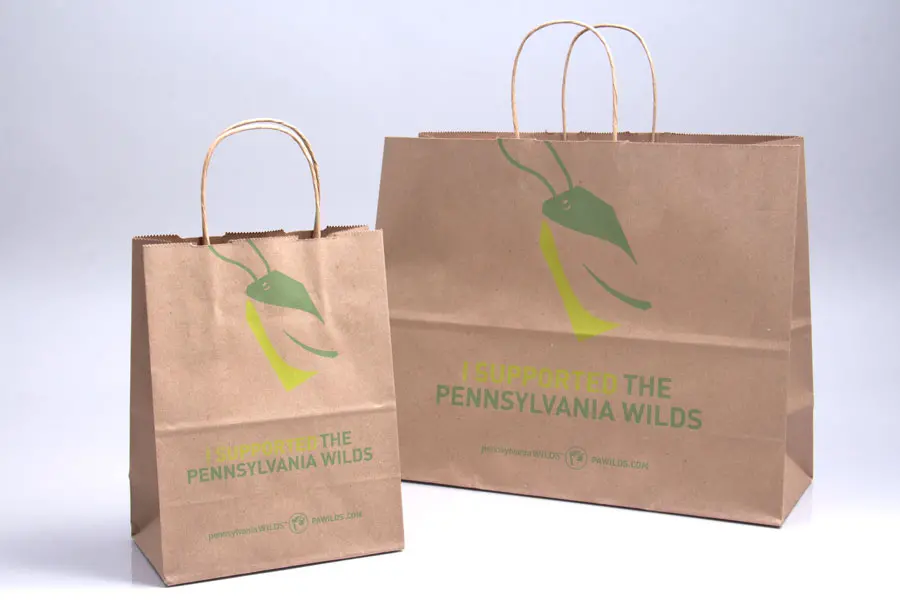 Custom printed paper shopping bags