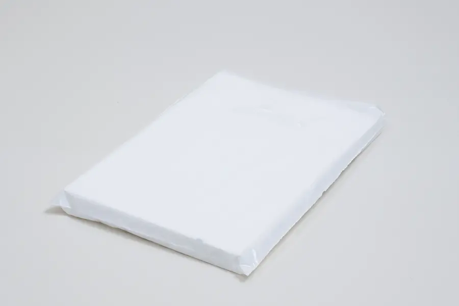 9W x 12H, Super Gloss Plastic Bags, White