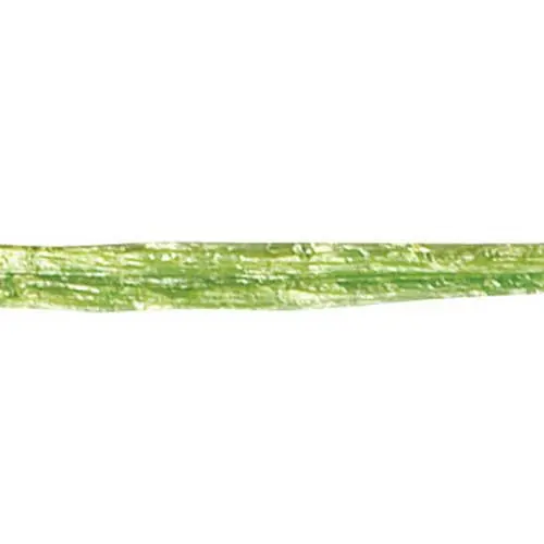 100 yds, Pearlized Raffia Ribbon, Jungle Wraphia
