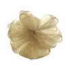 1-1/2W x 100 yds, Sheer Organza Ribbon, Champagne