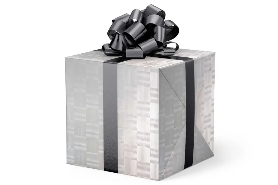 24W x 417 ft, Solid Wrapping Paper, Pale Silver Tara