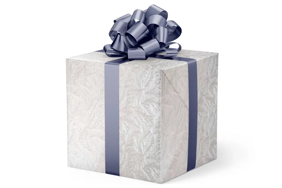 24W x 417 ft, Everyday Wrapping Paper, Pale Silver Akita