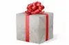 24W x 417 ft, Solid Wrapping Paper, Silver Moire Foil