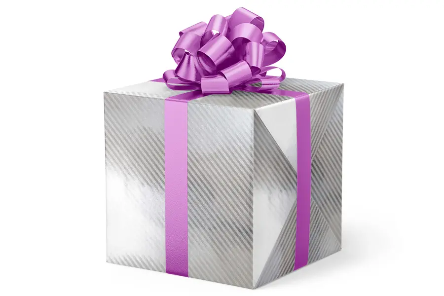 24W x 417 ft, Everyday Wrapping Paper, Silver Diagonal Stripe
