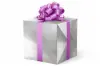 24W x 417 ft, Everyday Wrapping Paper, Silver Diagonal Stripe