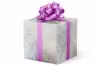 24W x 417 ft, Everyday Wrapping Paper, Silver Satin