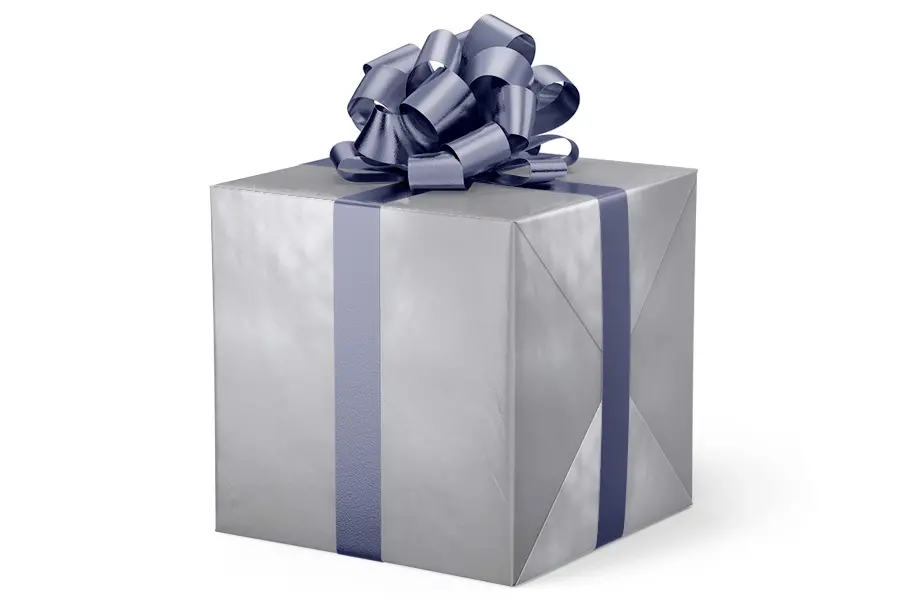 24W x 417 ft, Solid Wrapping Paper, Silver Solid