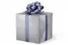 24W x 417 ft, Solid Wrapping Paper, Silver Solid