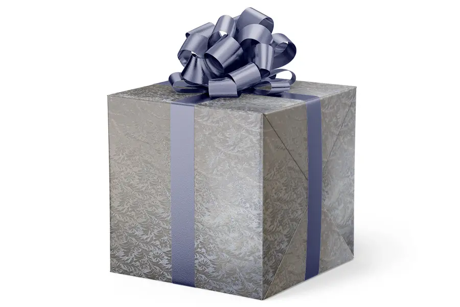 24W x 417 ft, Everyday Wrapping Paper, Silver Frost
