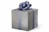 24W x 417 ft, Everyday Wrapping Paper, Silver Frost
