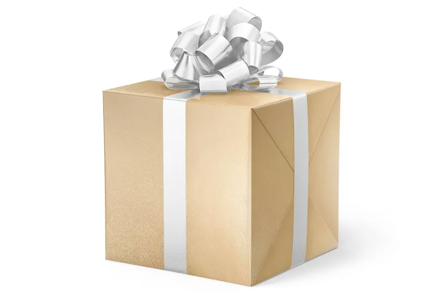 24W x 417 ft, Everyday Wrapping Paper, Pale Gold Spun Silk
