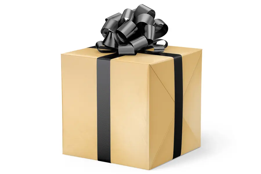 24W x 417 ft, Everyday Wrapping Paper, Pearl Gold