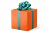 24W x 417 ft, Solid Wrapping Paper, Fluorescent Orange Velvet