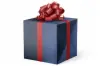 24W x 417 ft, Everyday Wrapping Paper, Blue Velvet Iridescent
