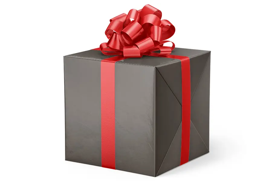 24W x 417 ft, Everyday Wrapping Paper, Gray Velvet