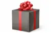 24W x 417 ft, Everyday Wrapping Paper, Gray Velvet