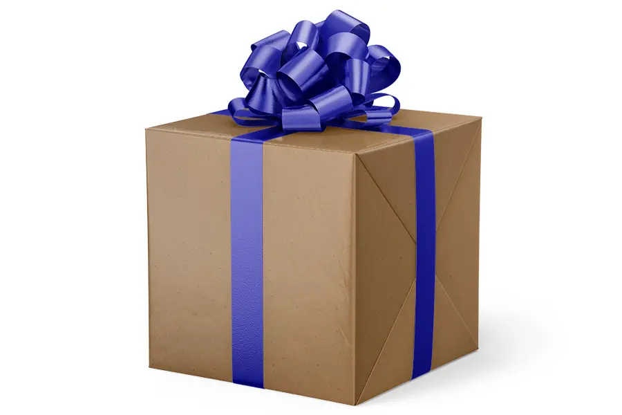24W x 417 ft, Everyday Wrapping Paper, Pilgrim Kraft