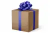24W x 417 ft, Everyday Wrapping Paper, Pilgrim Kraft