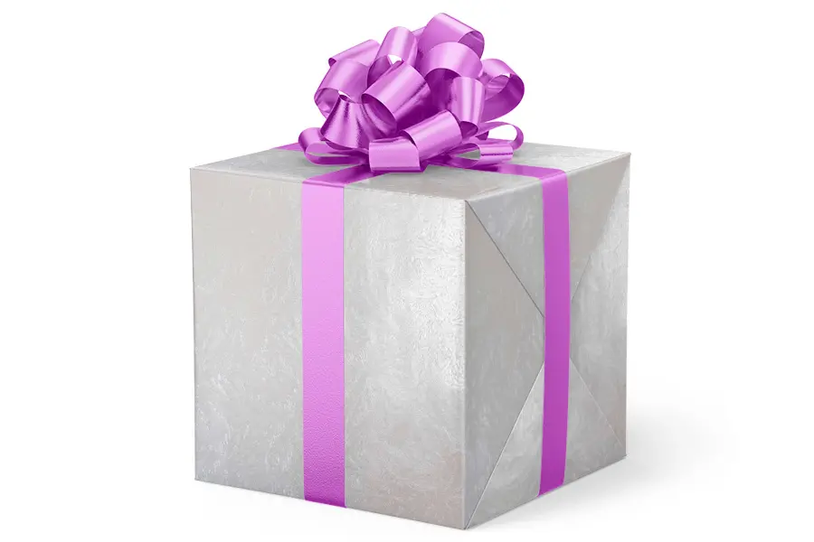 24W x 417 ft, Everyday Wrapping Paper, Pearl Akita