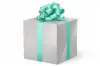 24W x 417 ft, Everyday Wrapping Paper, Pearl Fluff