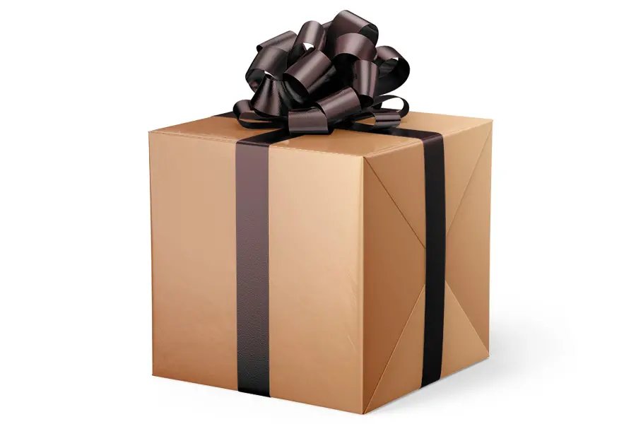 24W x 417 ft, Everyday Wrapping Paper, Bronze Solid