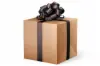 24W x 417 ft, Everyday Wrapping Paper, Bronze Solid