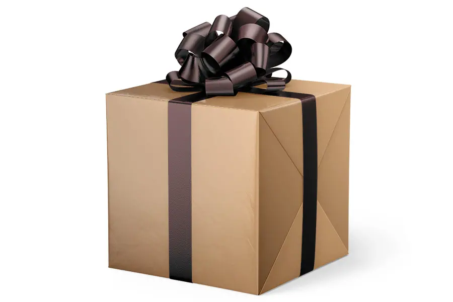 24W x 417 ft, Everyday Wrapping Paper, Champagne Pearl Solid